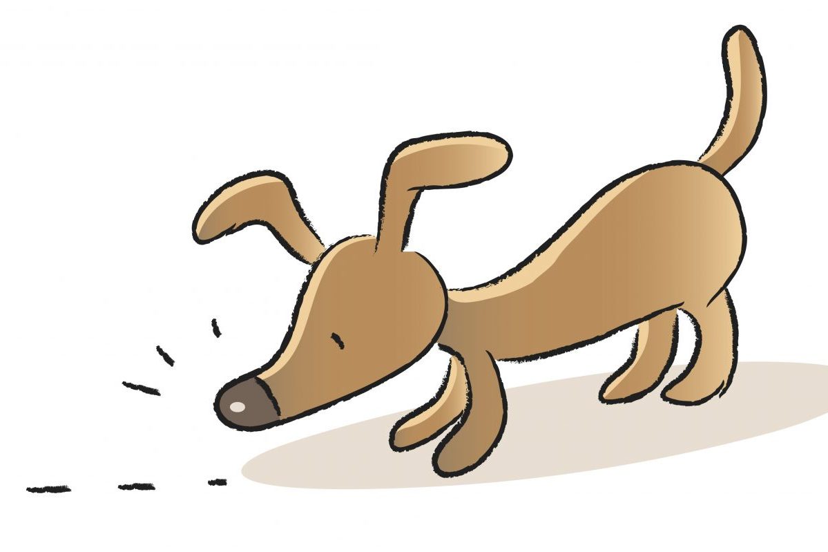 What does it mean when a dog sniffs hot sale you