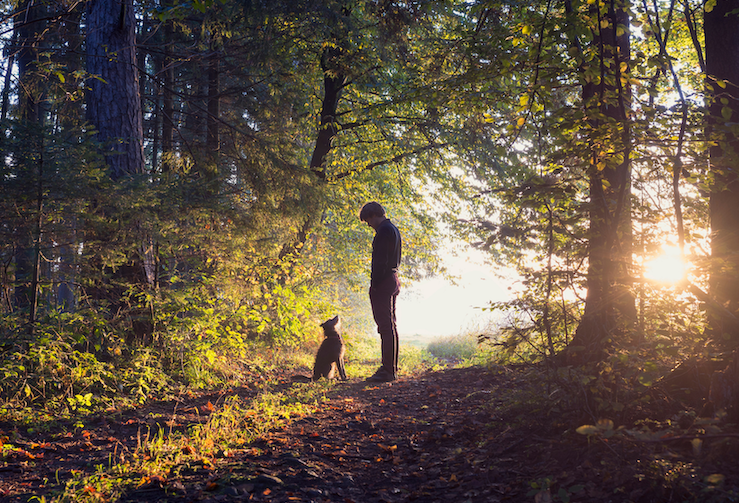 Professional Dog Trainers & Behavior Consultants Instinct Dog Behavior & Training