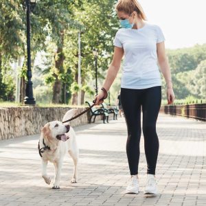 Girl walking a yellow dog