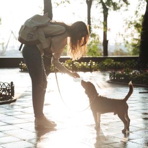 Girl giving her dog a treat