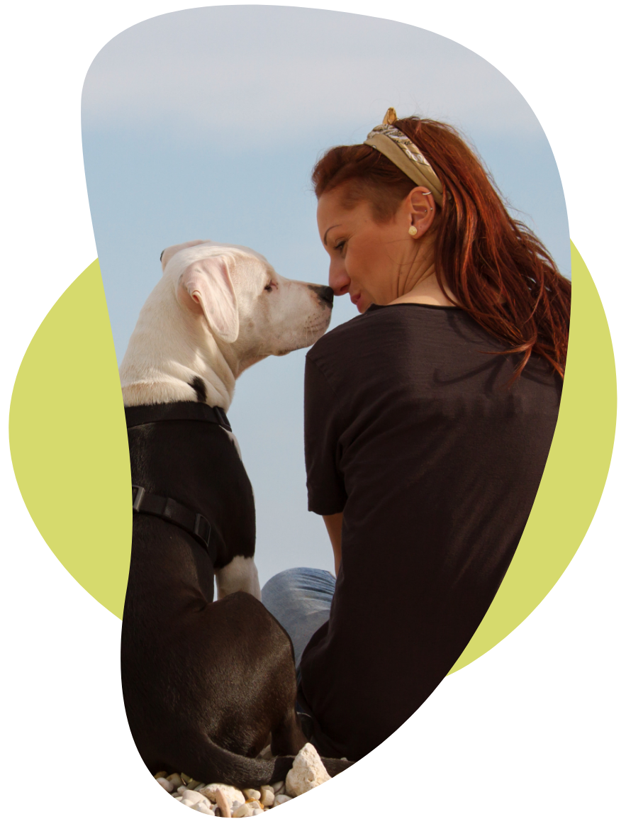 Pit Bull Owner Nose Touch